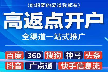 案例分析：短视频平台信息流广告效果评估